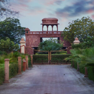 royal-safari-camp royal-safari-camp